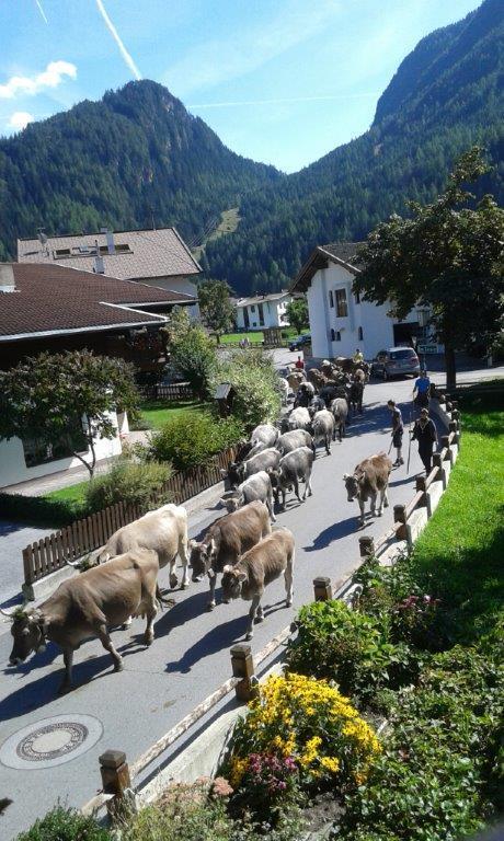 Haus Stefan Villa Längenfeld Eksteriør billede